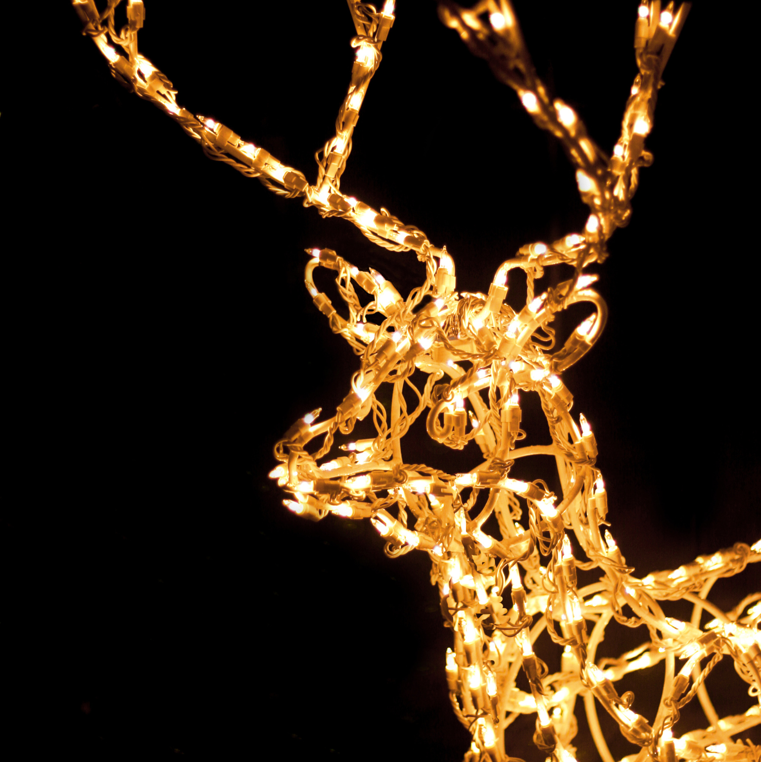 Seasonal Displays: Religion and Reindeer